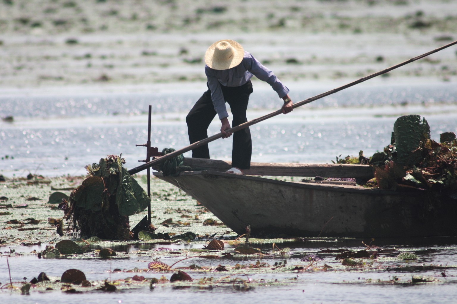 中国纪录|武汉新洲“天府之地”的涨渡湖可做出红色引擎的大文章