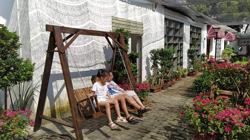 中国纪录|湖北鄂州风信子：让万卉千花点染画廊