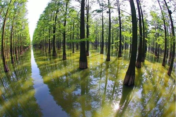 中国纪录|老吴电筒那些事