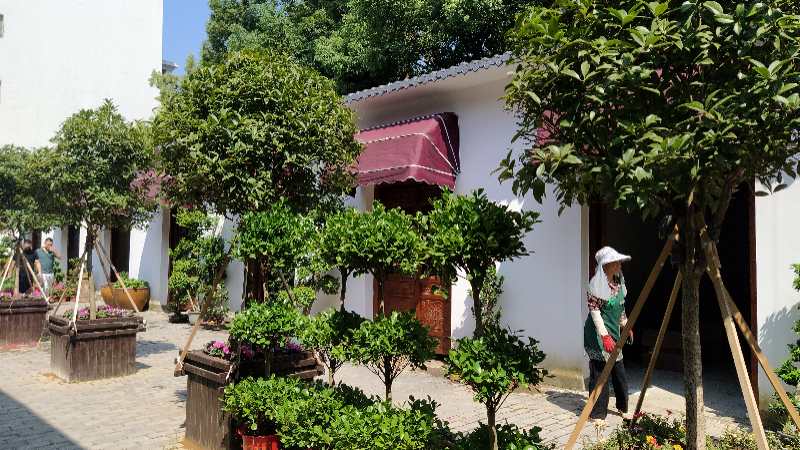 中国纪录|湖北鄂州风信子：让万卉千花点染画廊