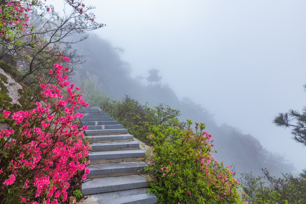 最美湖北英山羊角尖|《中国纪录》新媒体现场直击：最美湖北英山羊角尖