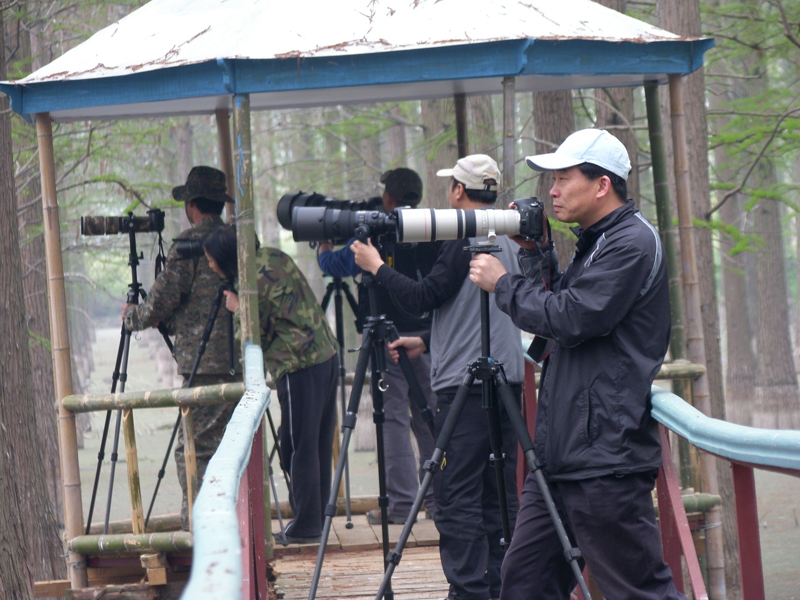 中国纪录|武汉新洲“天府之地”的涨渡湖可做出红色引擎的大文章