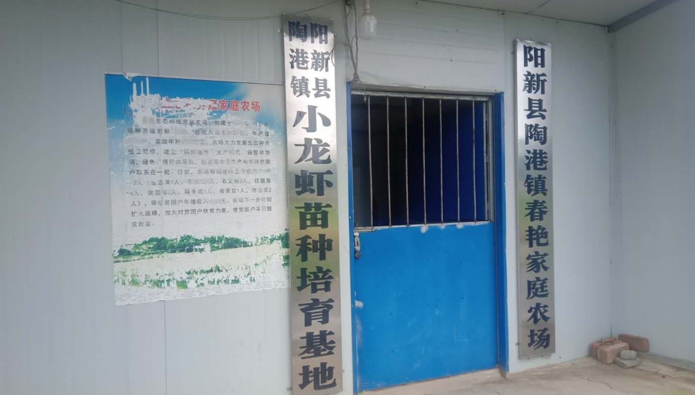 中国纪录|湖北阳新县稻虾养殖：勤劳致富的农民夫妇