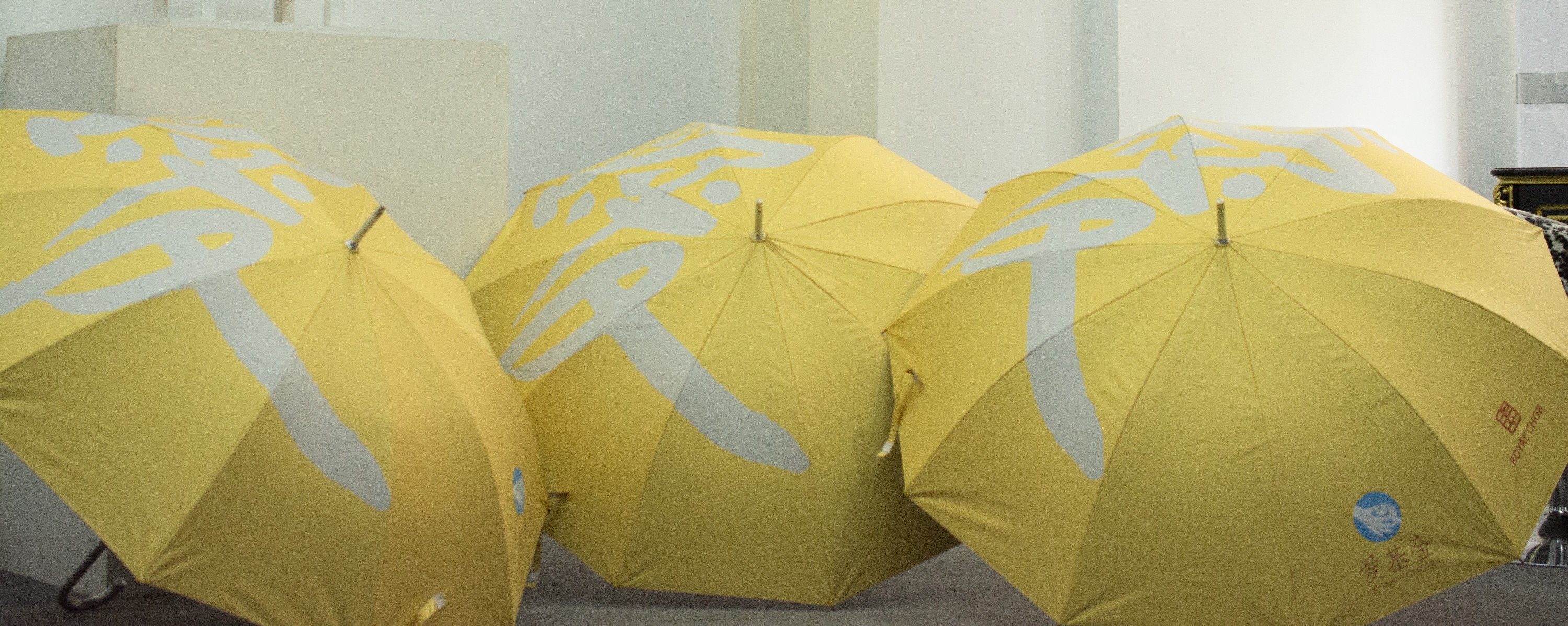 3|湖北省慈善总会“爱基金”正式起航，十万把“感恩伞”将送武汉各大校园