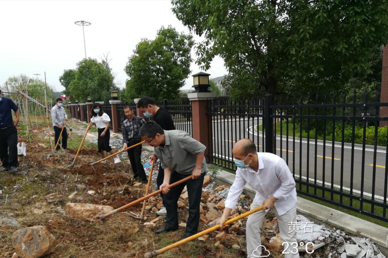 中国纪录|《中国纪录》直击——阳新县富川小学开展学生劳动实践教育活动