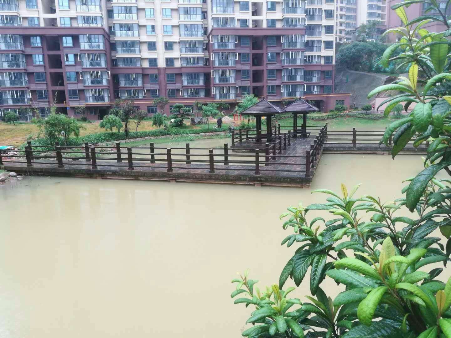 特约通讯员 杨启志《中国纪录》新媒体记者 於境源 吴群新 发自湖北黄石  近日来|湖北黄石青龙阁社区：从点滴做起 让我们一起美化家园