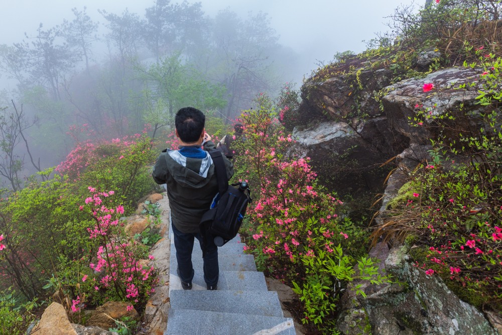 最美湖北英山羊角尖|《中国纪录》新媒体现场直击：最美湖北英山羊角尖