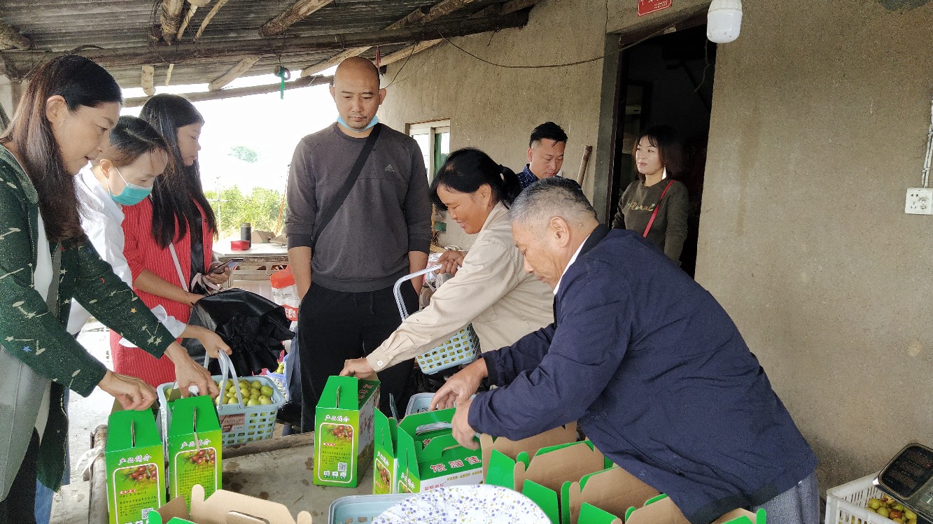 中国纪录|湖北鄂州金花枣业：喜庆农民丰收节