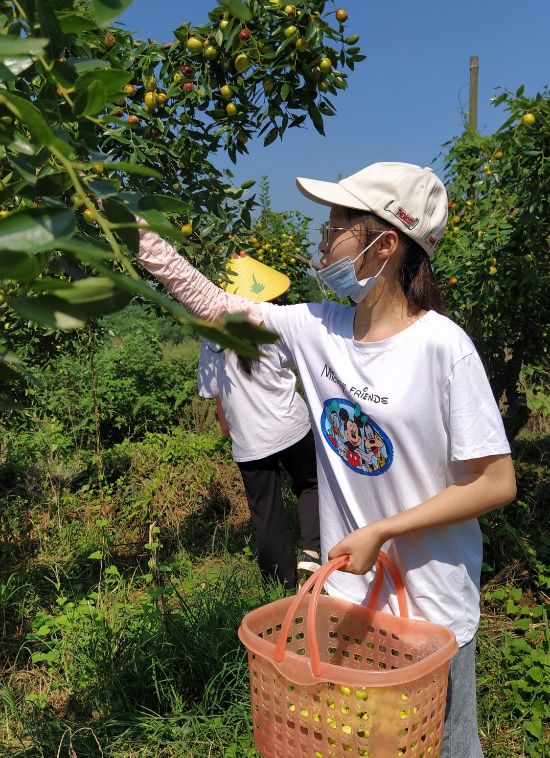 中国纪录|湖北鄂州金花枣业：喜庆农民丰收节