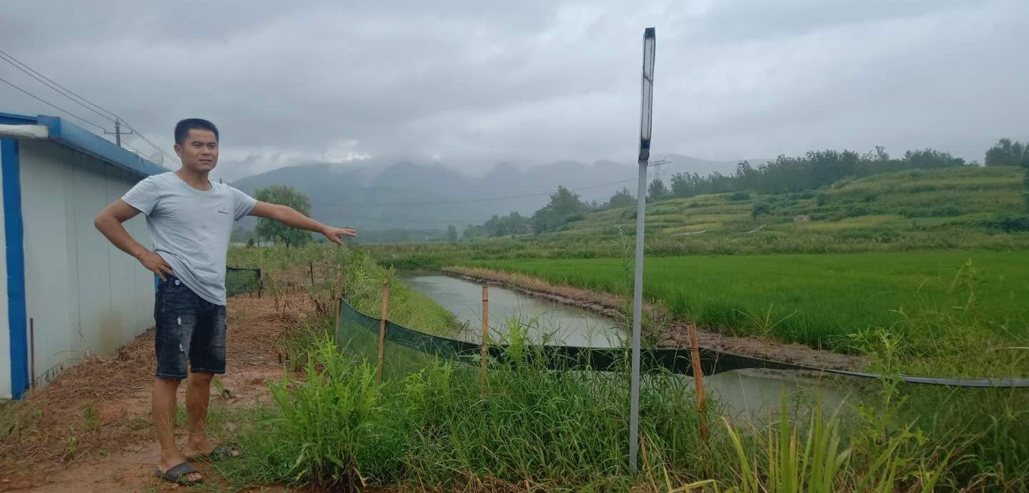 中国纪录|湖北阳新县稻虾养殖：勤劳致富的农民夫妇