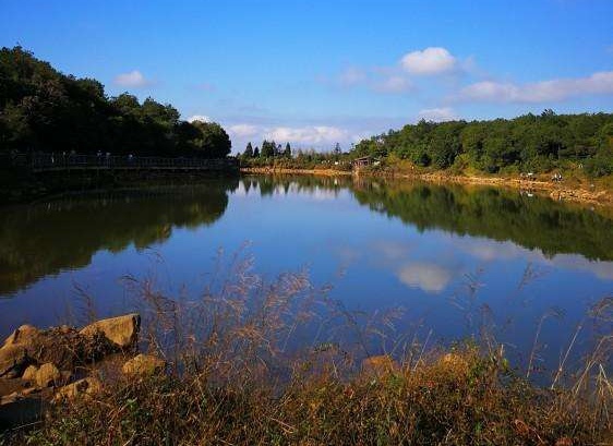中国纪录|大别英贤家国天下