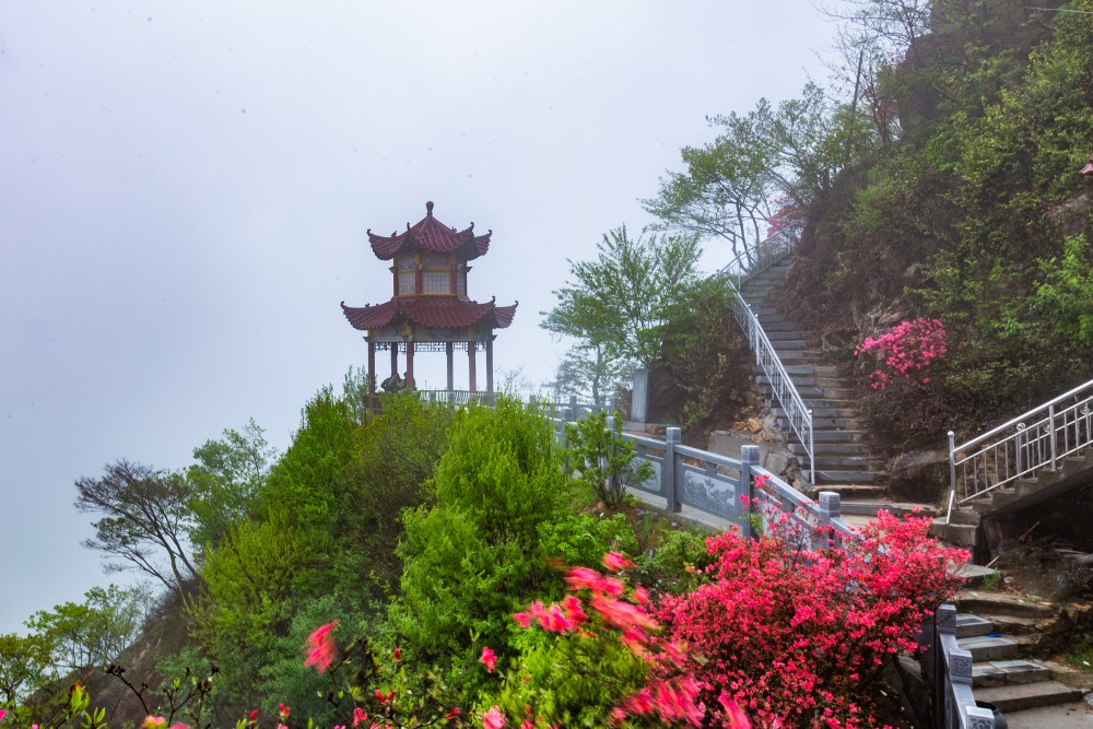 最美湖北英山羊角尖|《中国纪录》新媒体现场直击：最美湖北英山羊角尖